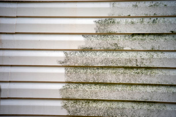 Siding Removal and Disposal in Bridgeport, PA